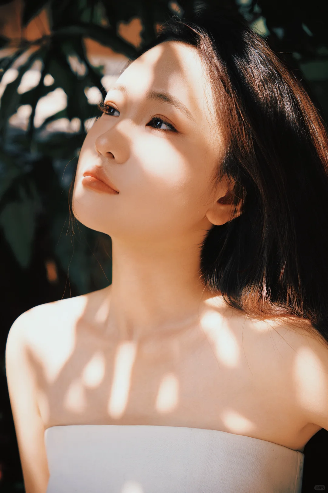 无法抗拒的光影 、情绪写真