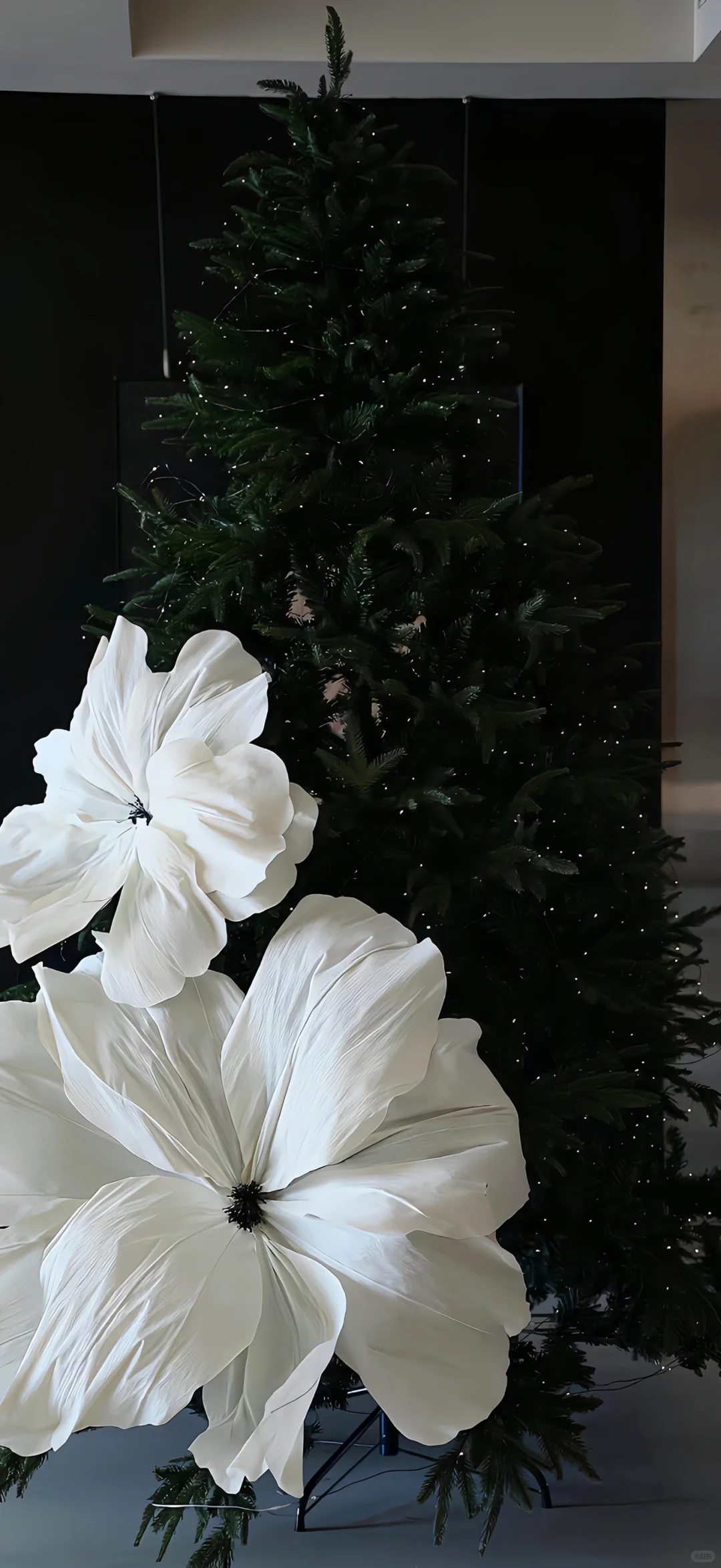 手机壁纸，圣诞壁纸2