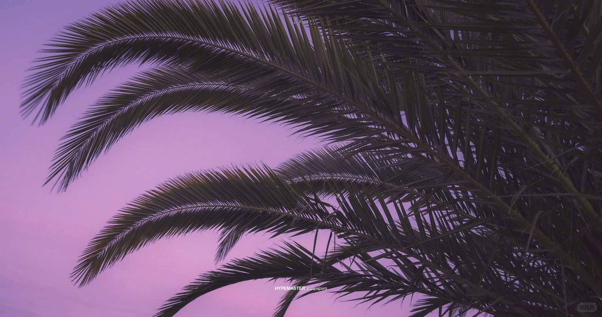 完美世界横屏iPad电脑壁纸