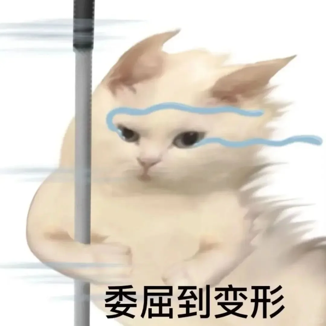 全方面完蛋！！！