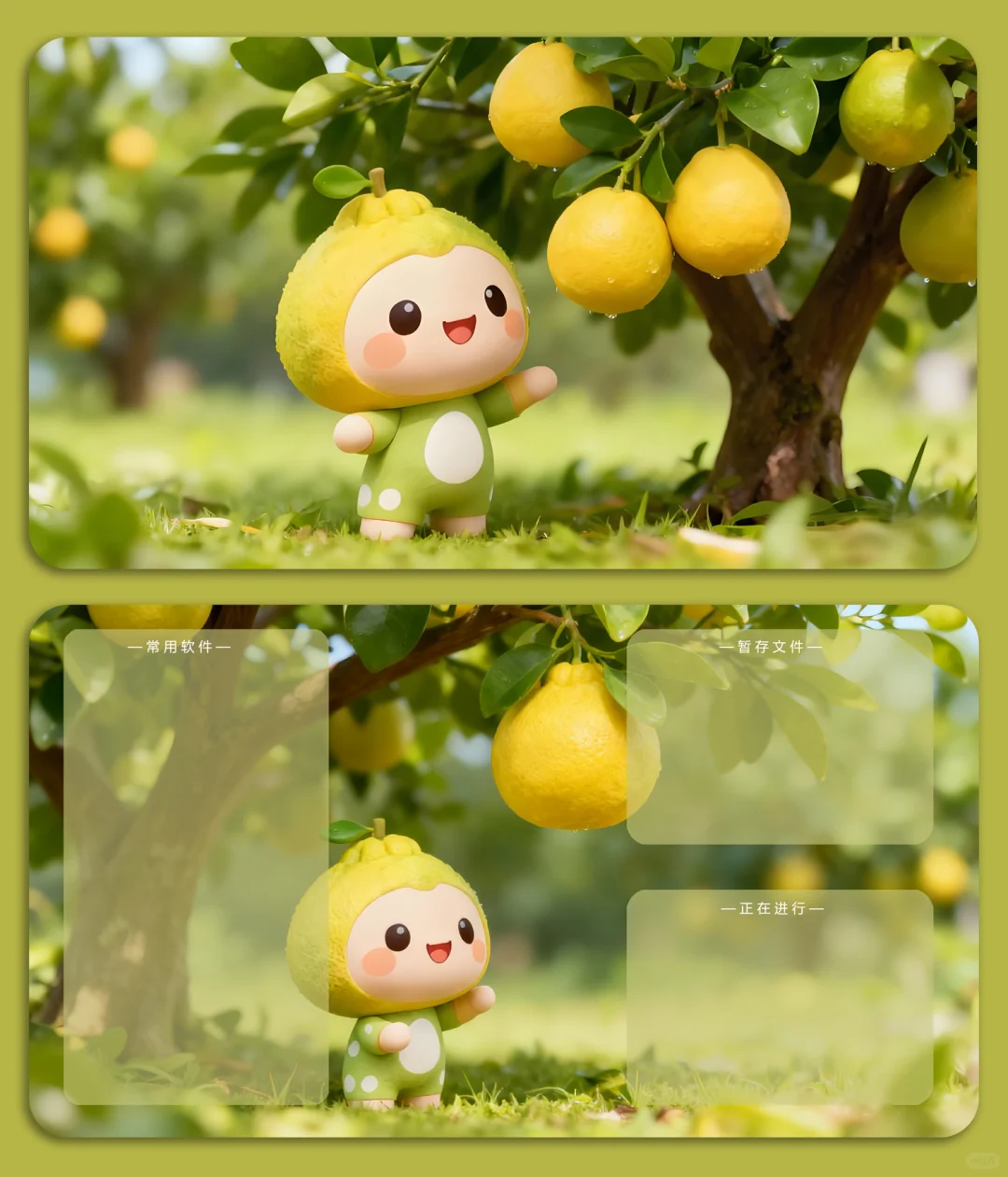133壁纸︱最近备受喜欢的柚子树，电脑壁纸