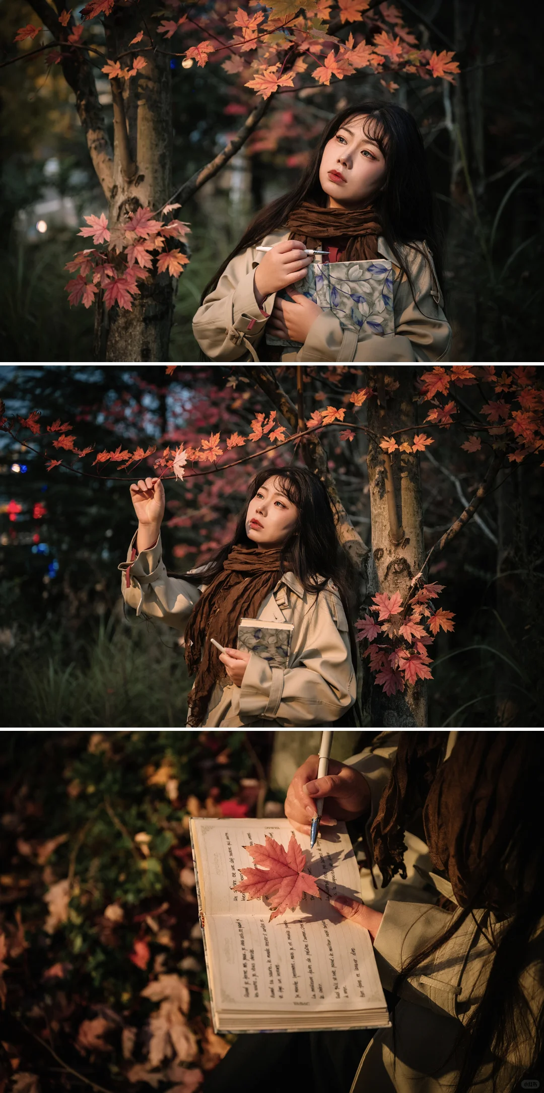 不去人挤人，在一棵枫树旁拍了一组写真