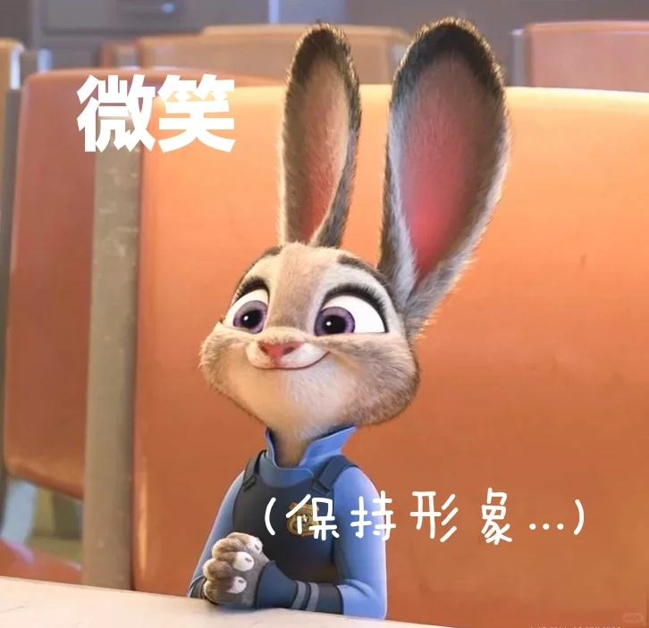 朱迪表情包🐰