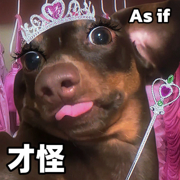 审美积累|mean狗儿