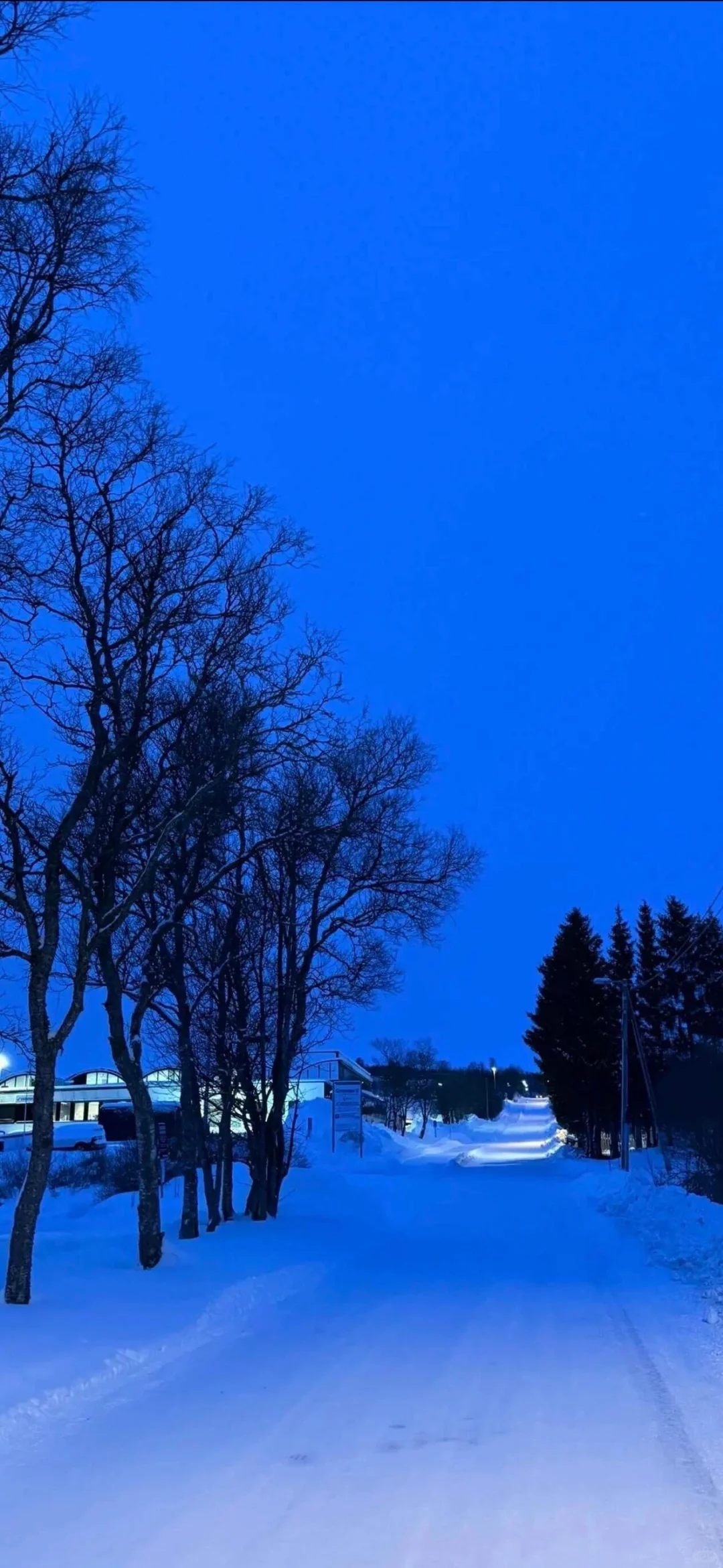 𝑺𝒉𝒂𝒓𝒆｜超治愈蓝调壁纸•͈ᴗ⁃͈💙 ˊ˗