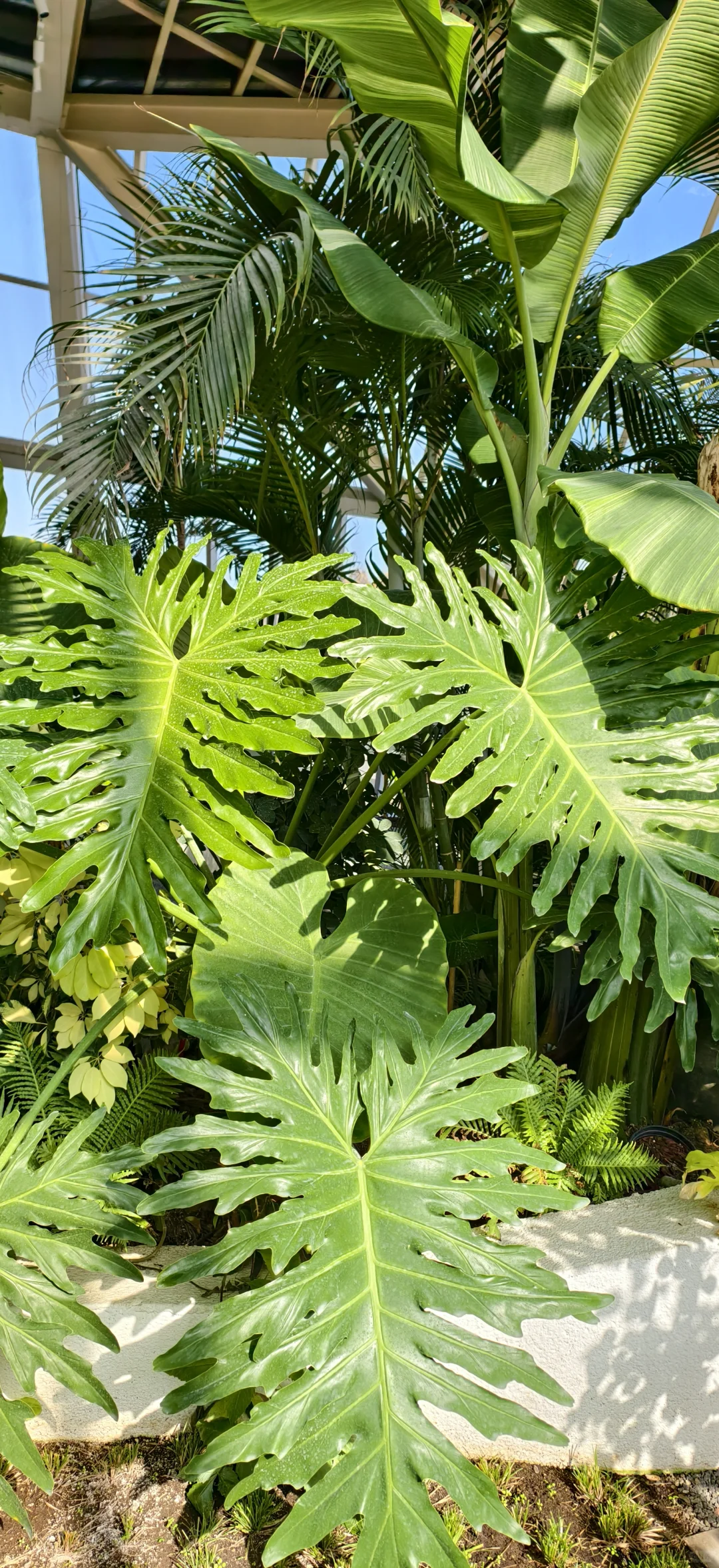 谁懂啊，好喜欢我的壁纸啊！