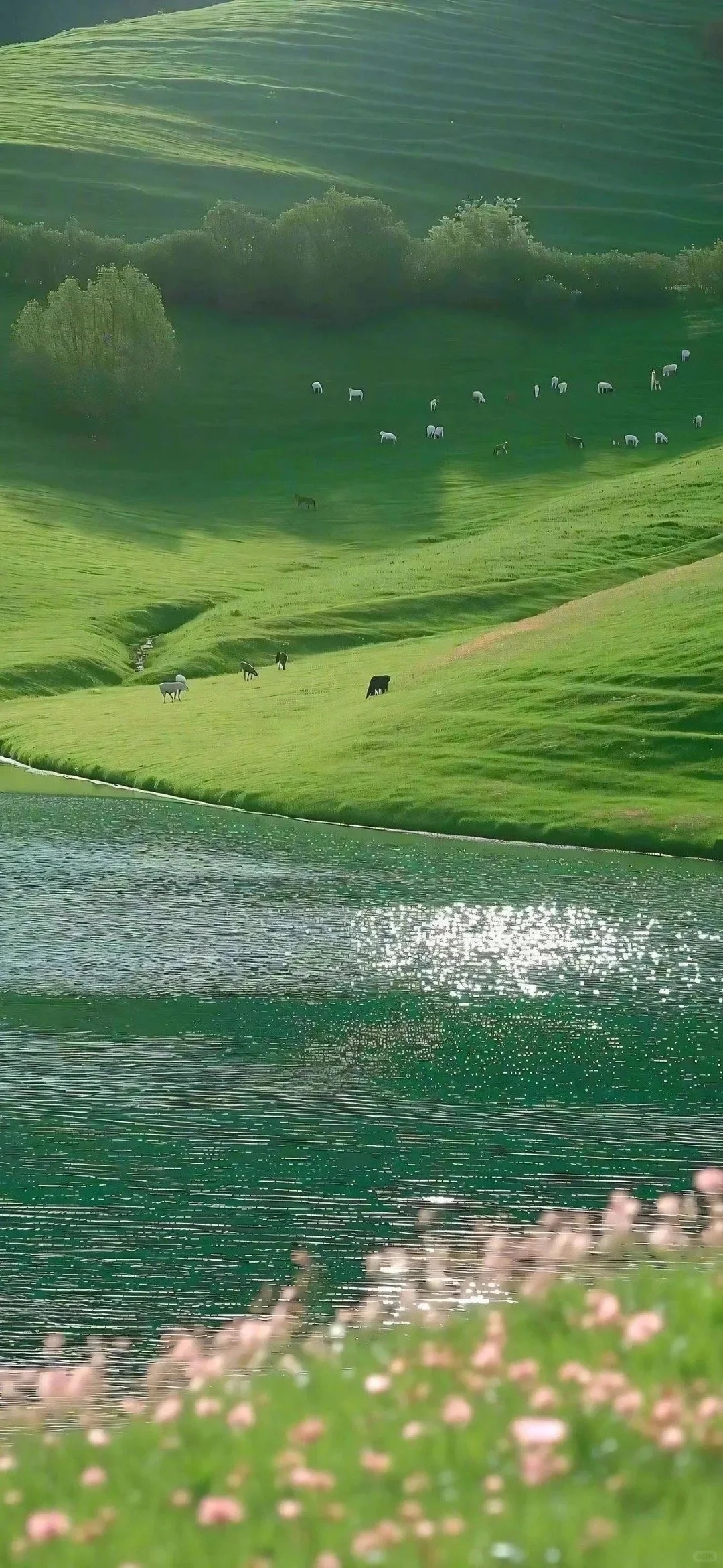 壁纸｜高级感爆棚的手机壁纸