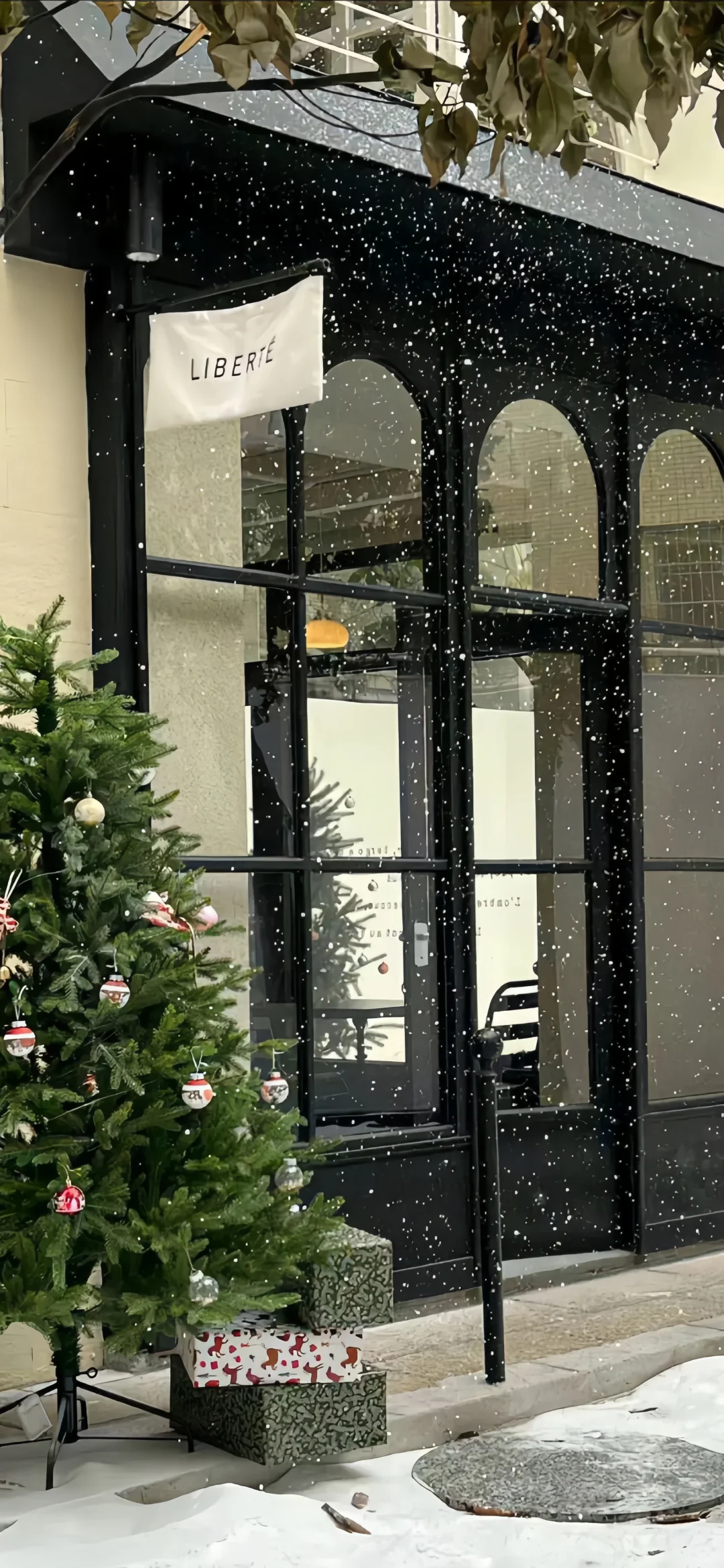 𝙎𝙃𝘼𝙍𝙀✨| ins氛围感壁纸