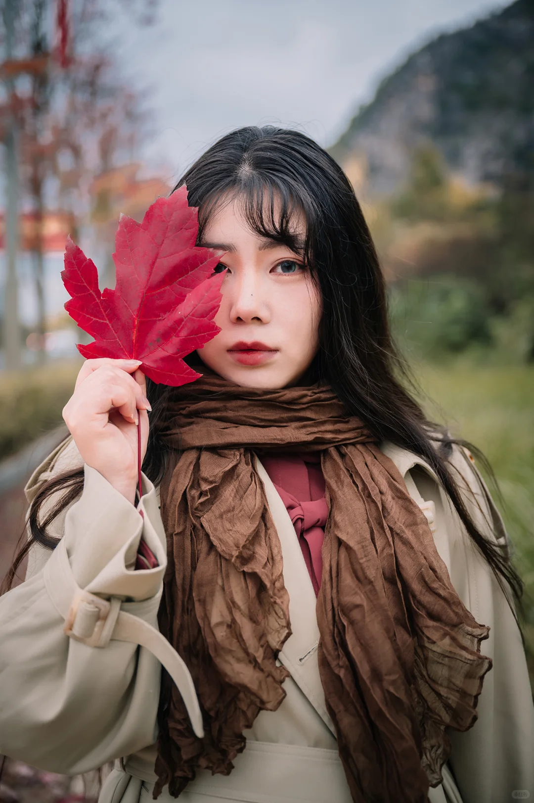 不去人挤人，在一棵枫树旁拍了一组写真