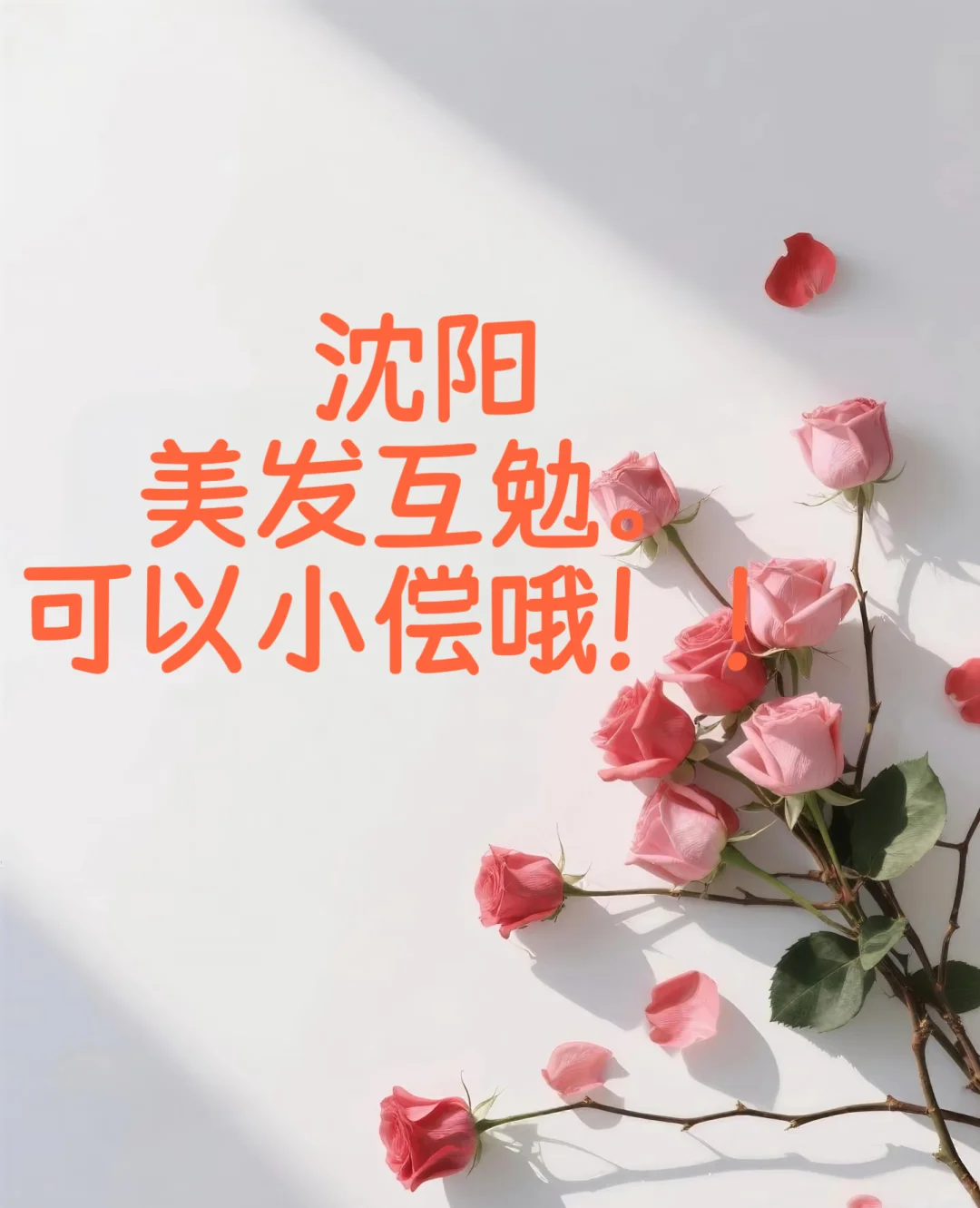 寻找沈阳发型模特，剪发烫发 可以小偿💰哦！