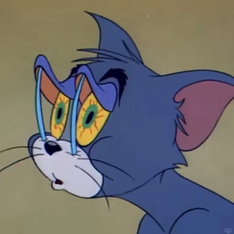 Tom and Jerry｜猫和老鼠表情包 36