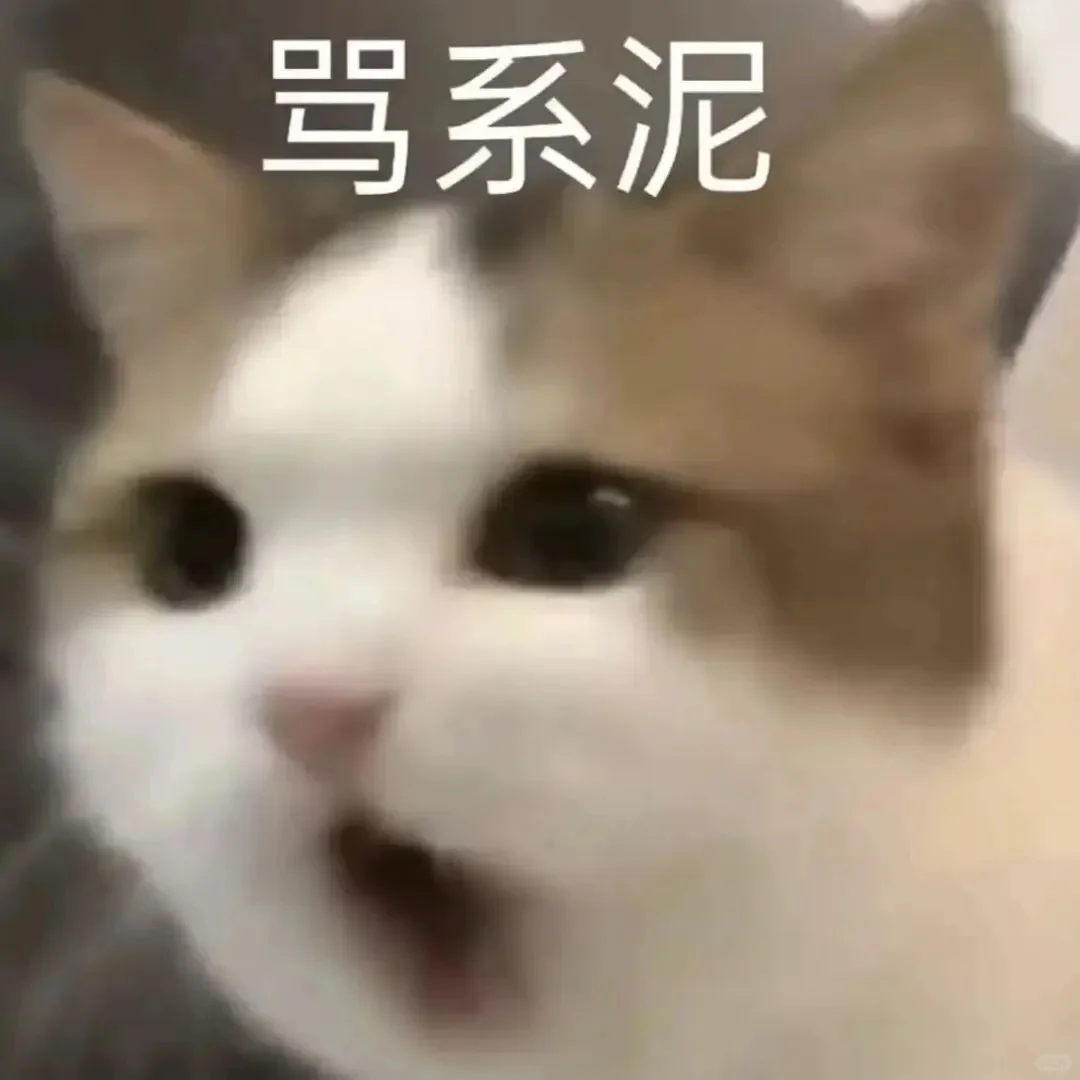 全方面完蛋！！！