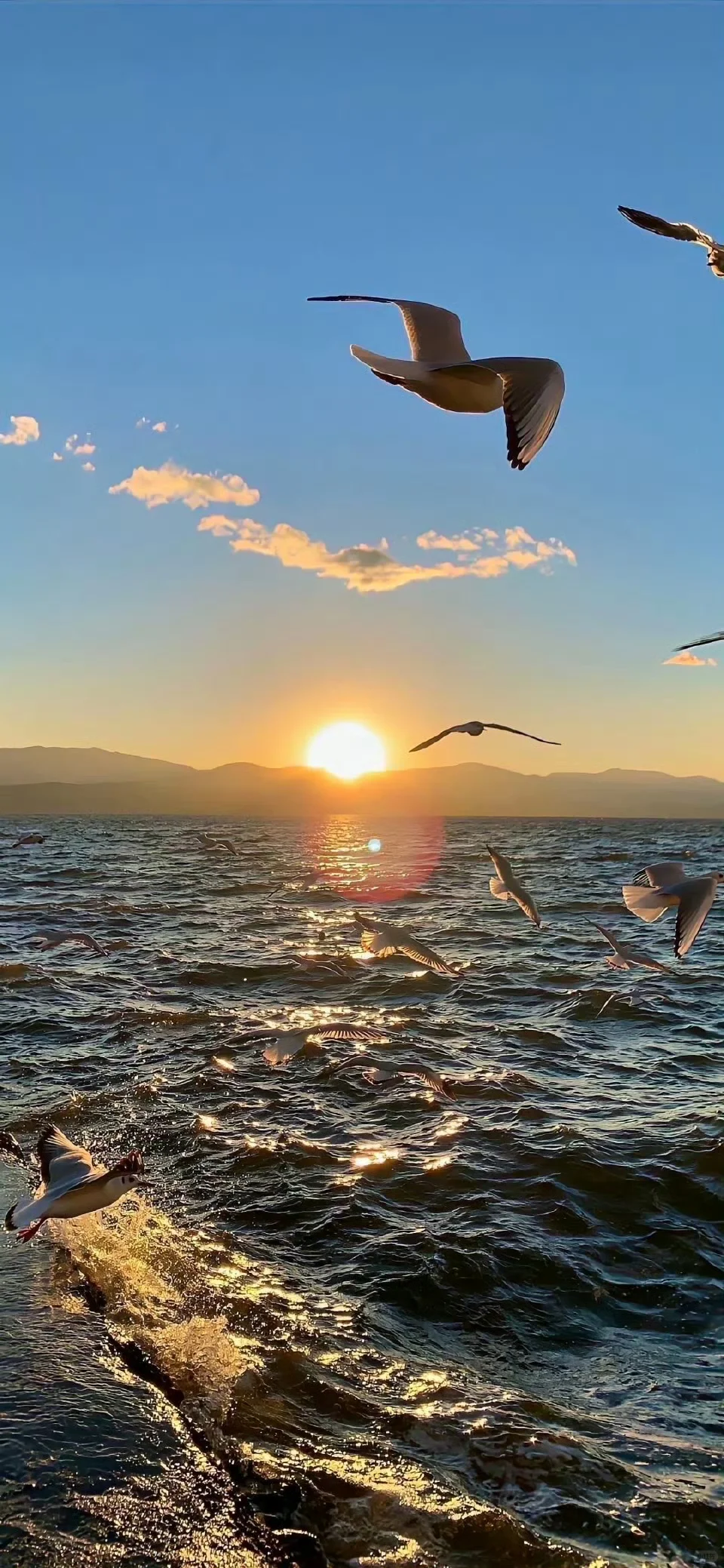 ins风壁纸/聊天背景图