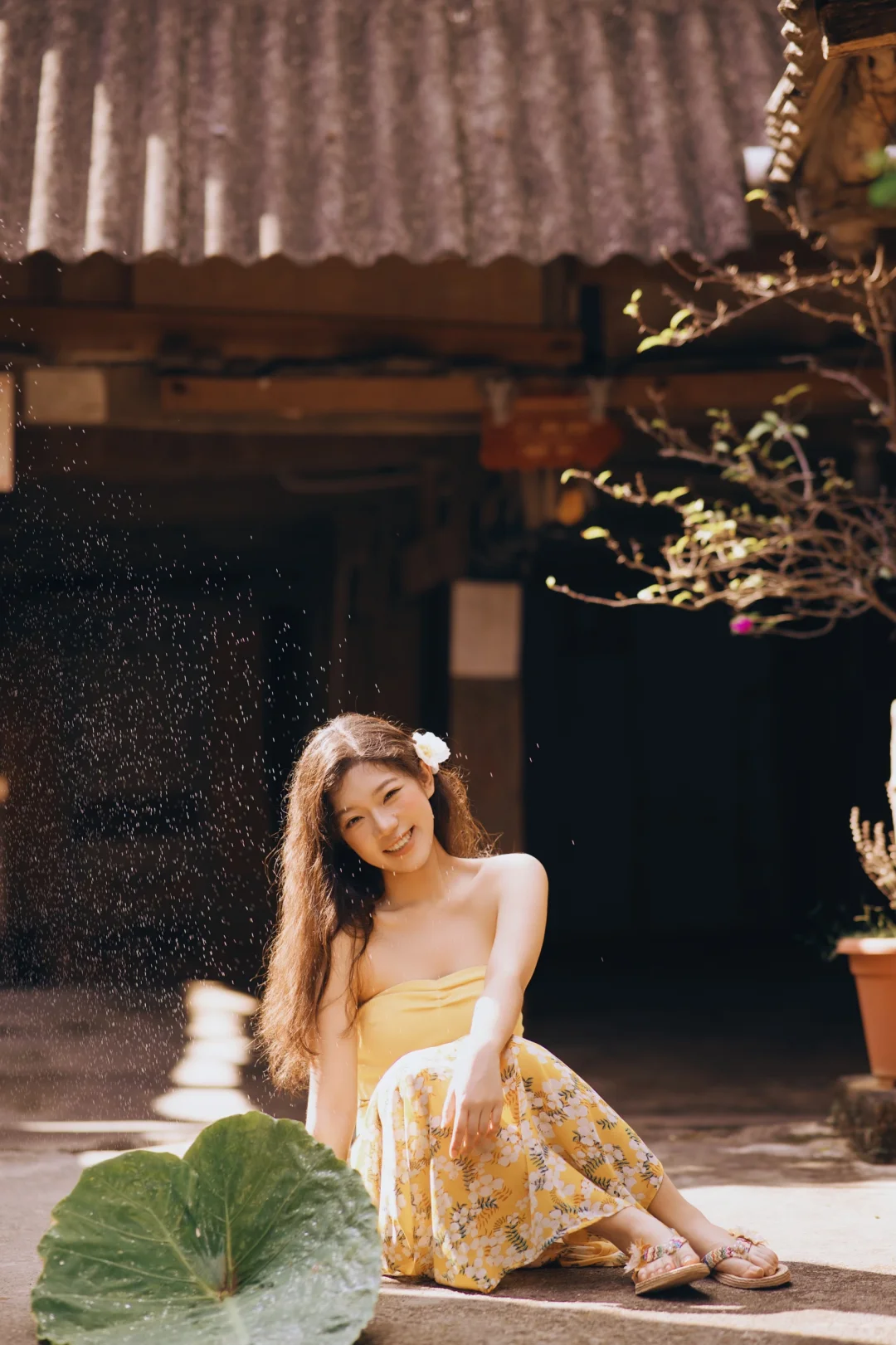 谁懂啊，在版纳拍到了超绝活人感写真