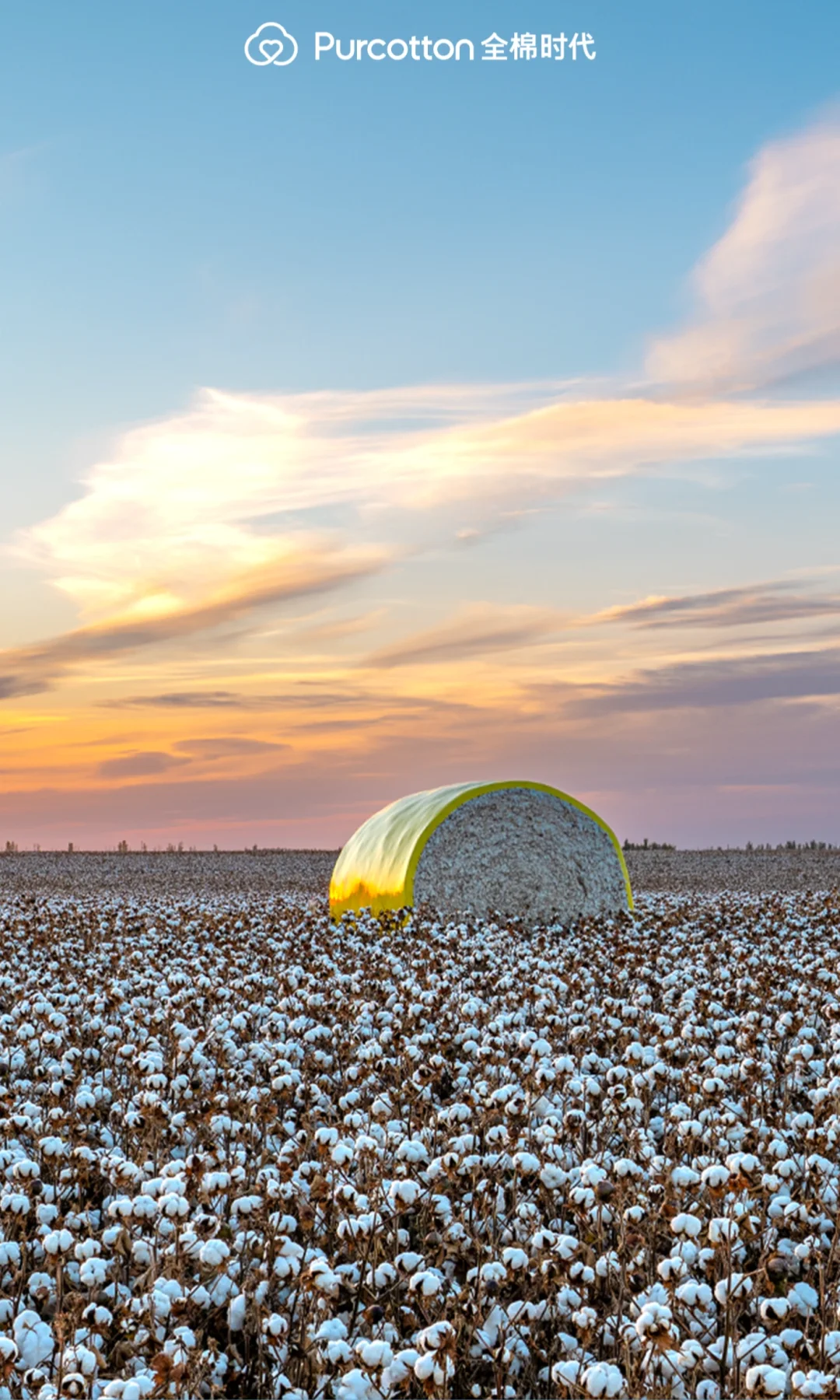 📸棉田摄影大片｜解锁你的专属屏保