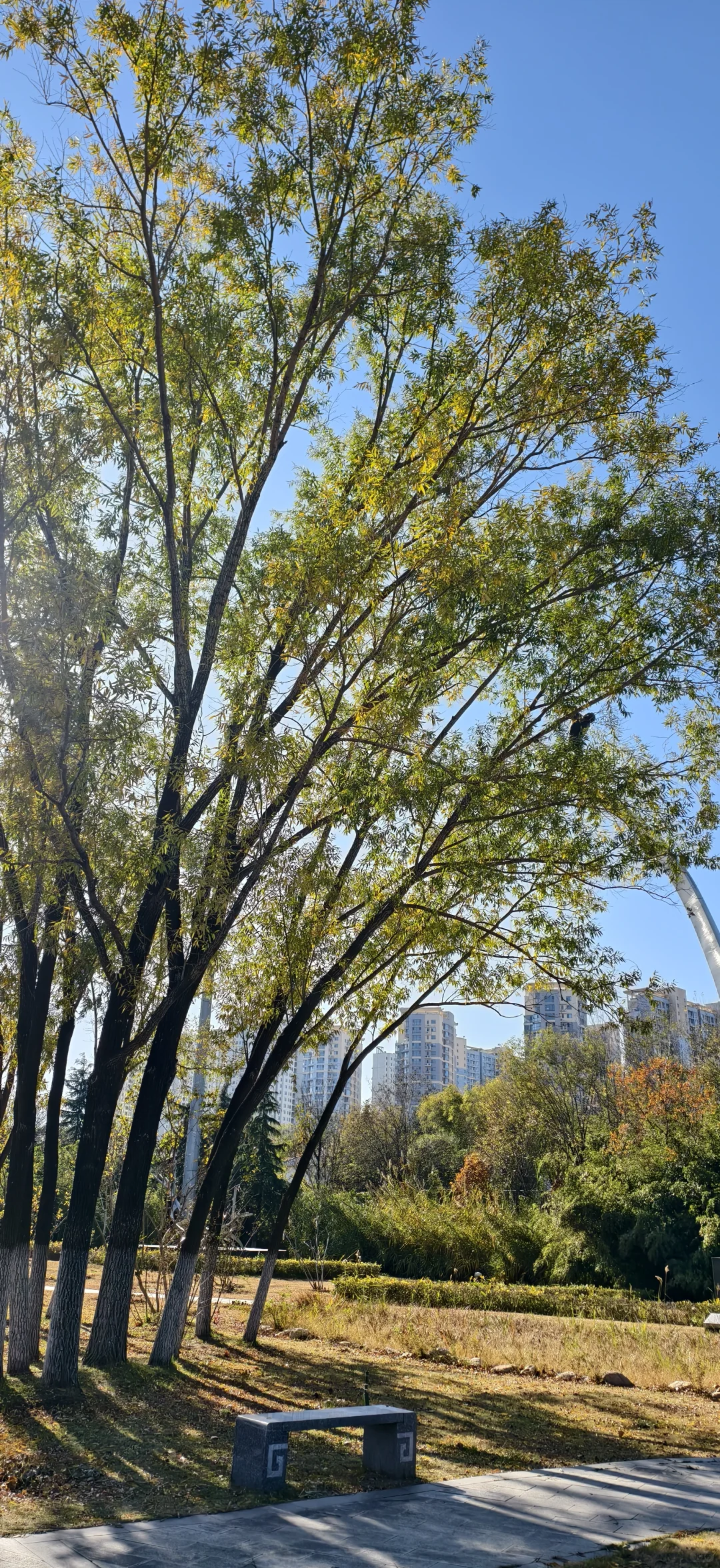 谁懂啊，好喜欢我的壁纸啊！