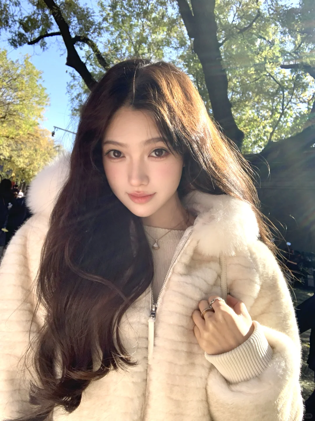 在冬天把阳光晒透