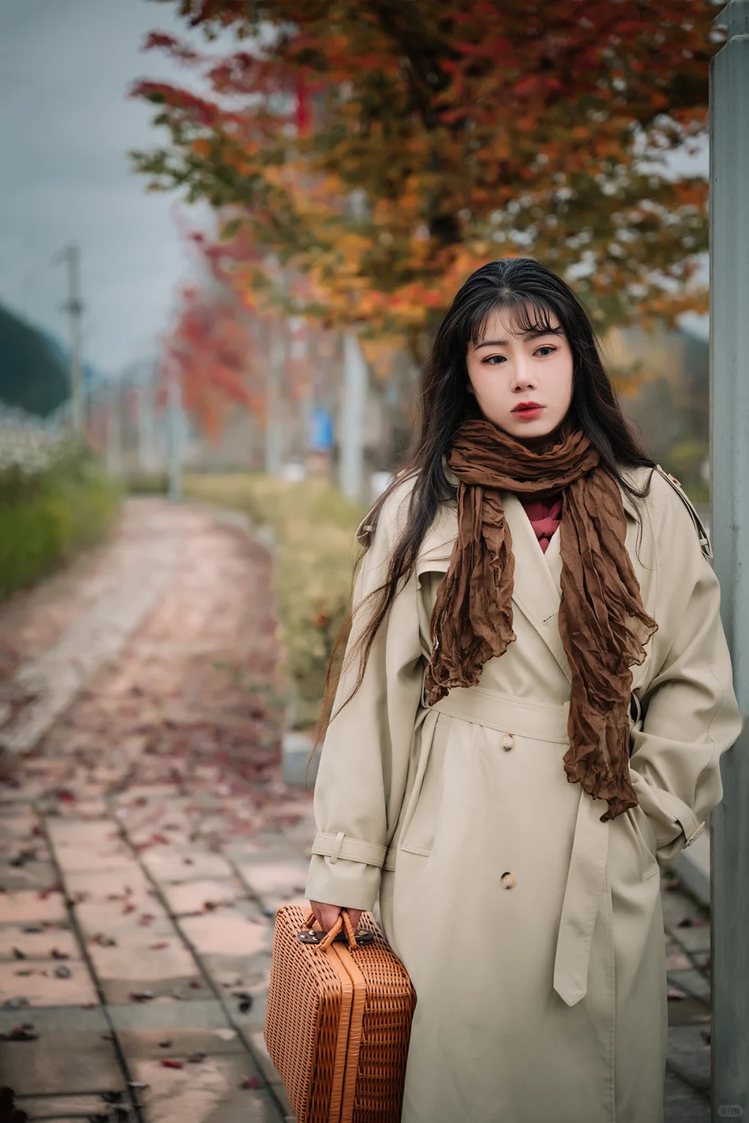 不去人挤人，在一棵枫树旁拍了一组写真