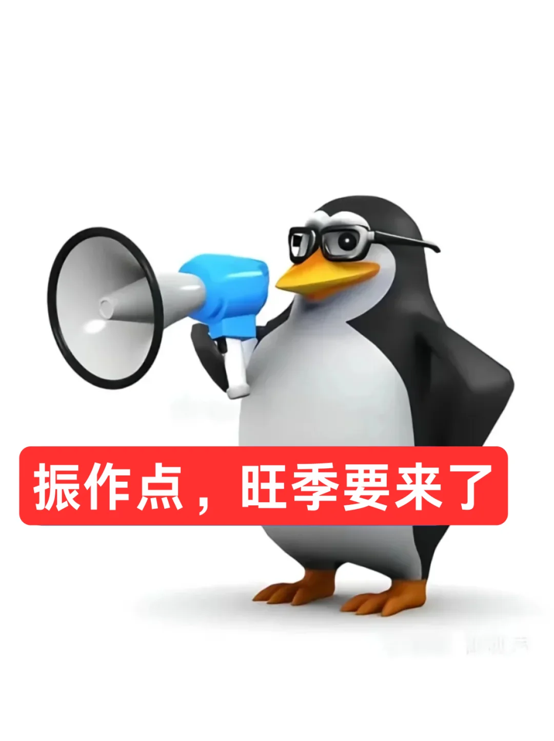 抽象墨镜企鹅表情包（跨境电商版）