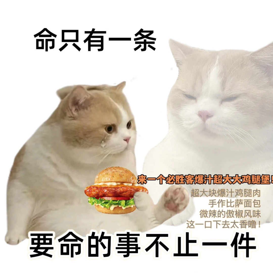 抽象人必备表情包!!