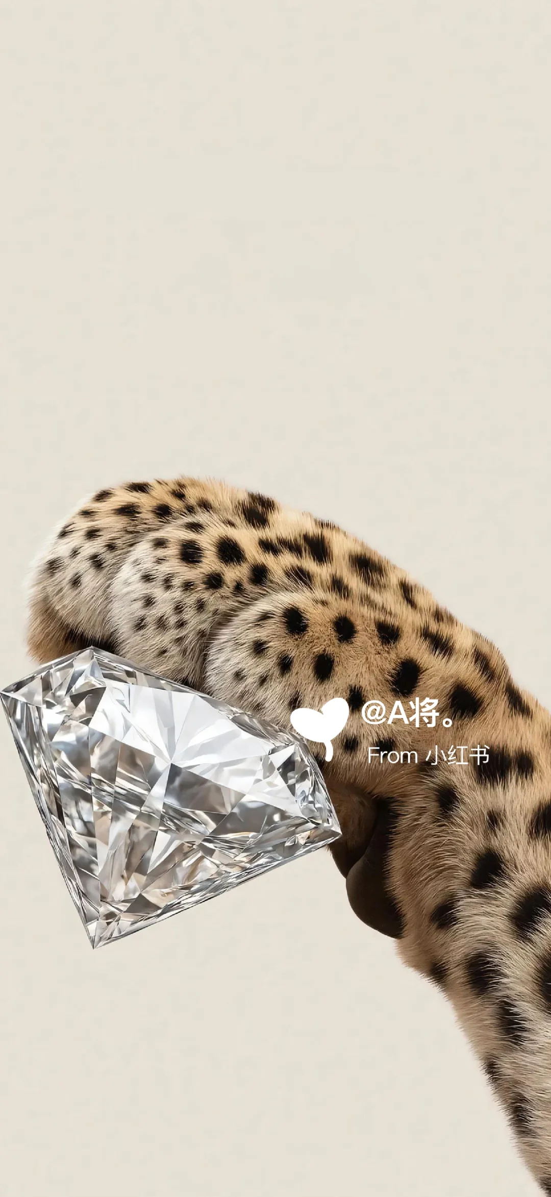 一起豹发高能量壁纸