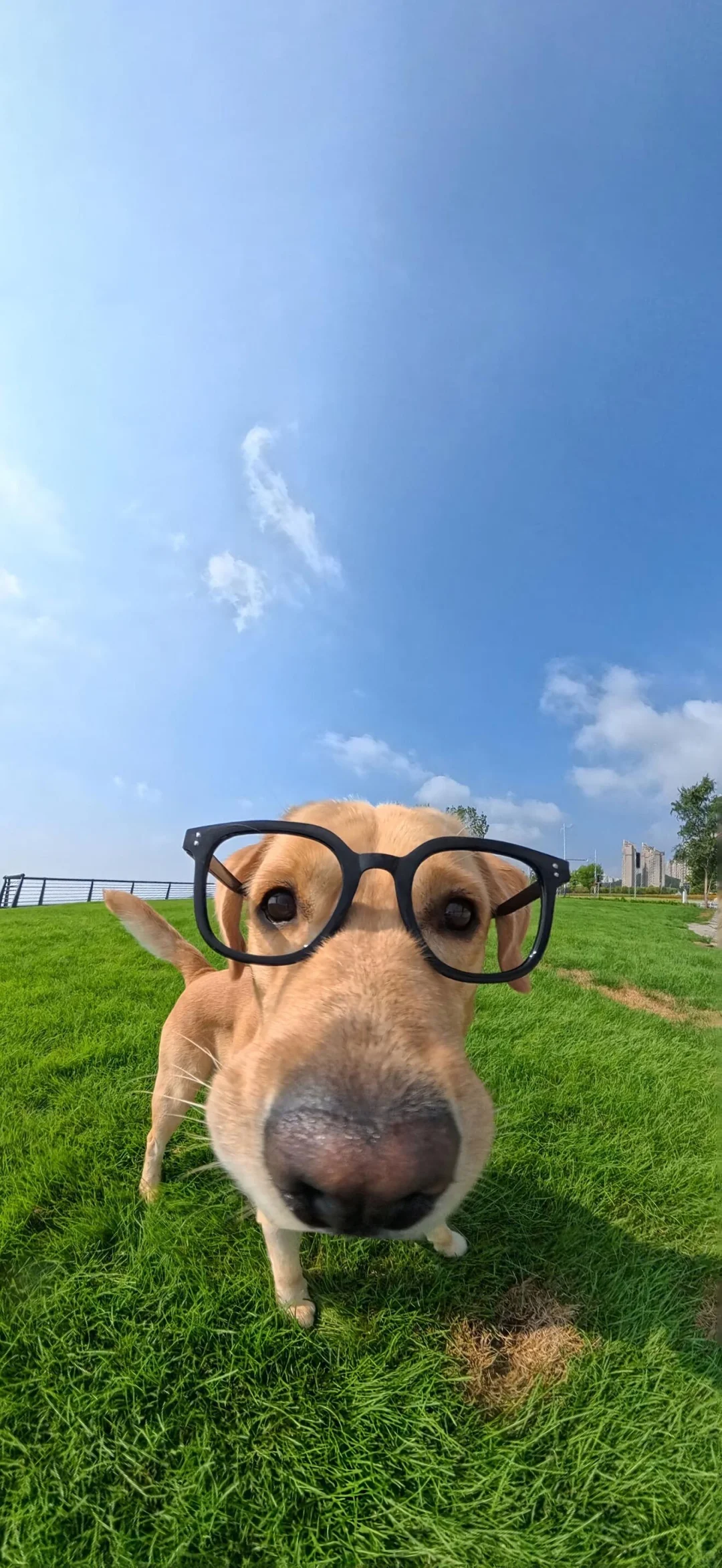 美女壁纸大合集