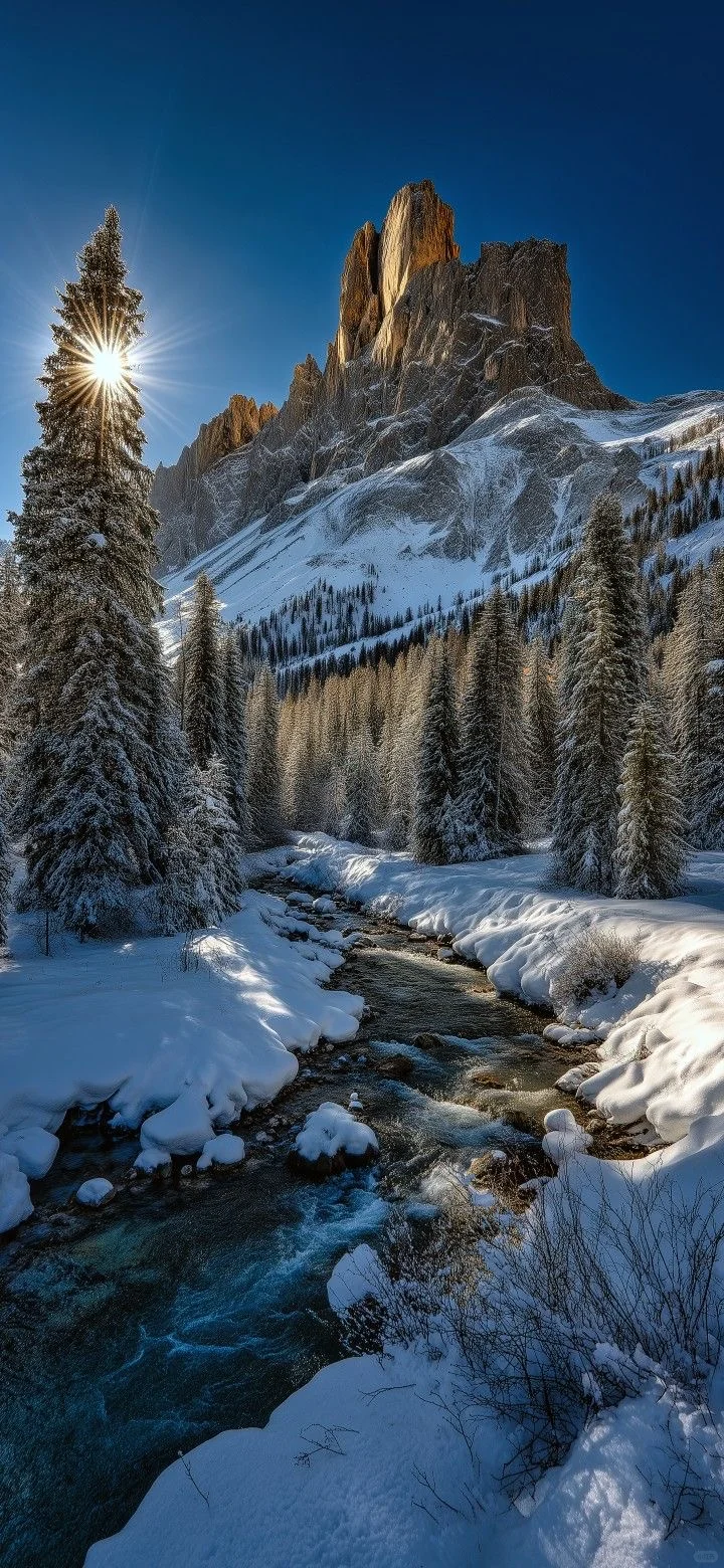 高清壁纸｜适合冬天的壁纸❄️
