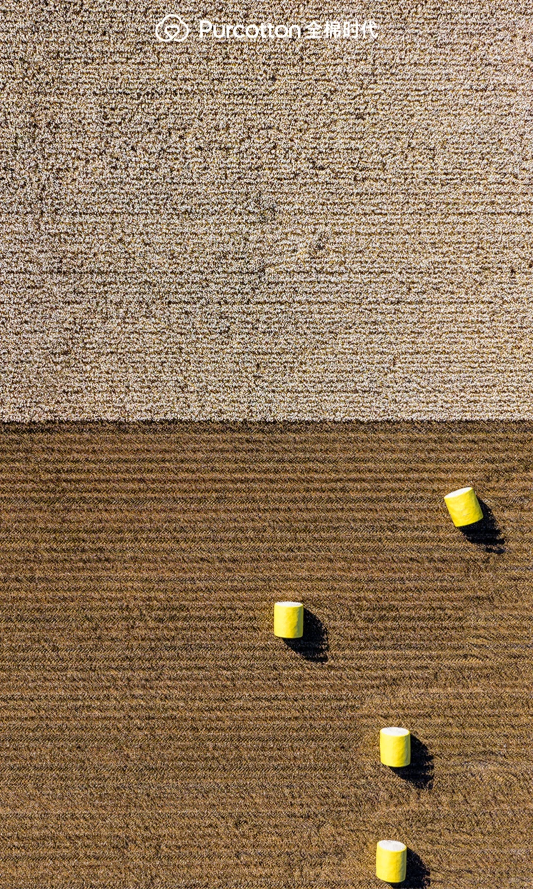 📸棉田摄影大片｜解锁你的专属屏保