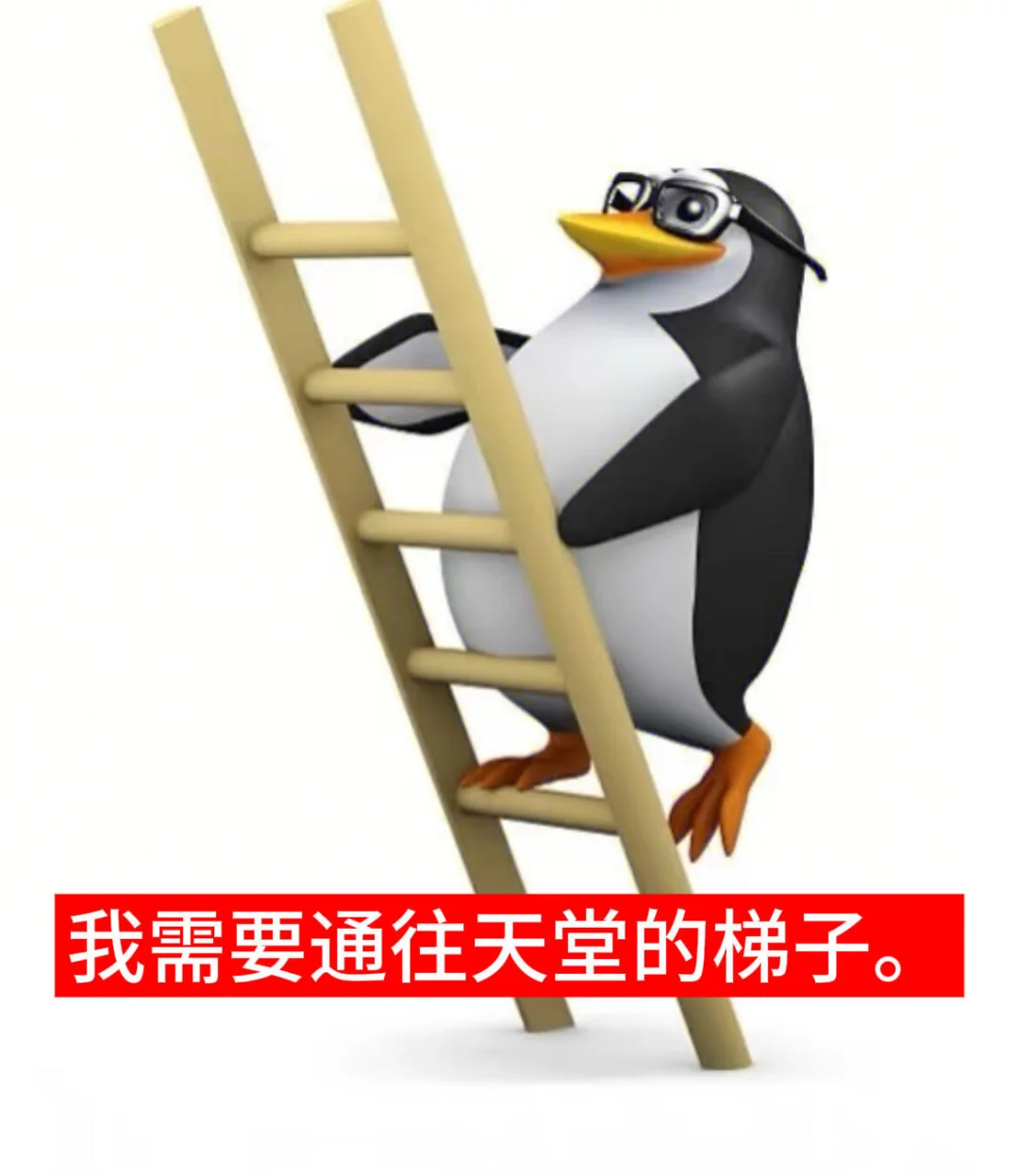 表情包｜威廉企鹅🐧🐧🐧3