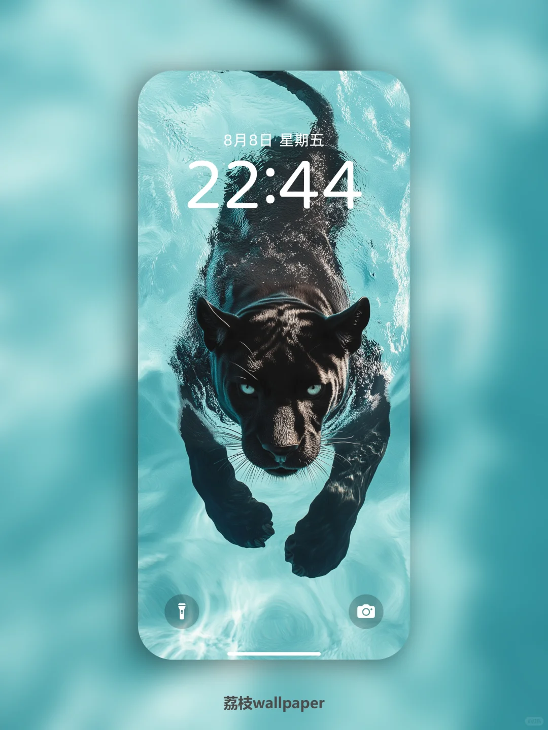 044｜简约高清壁纸｜游水豹