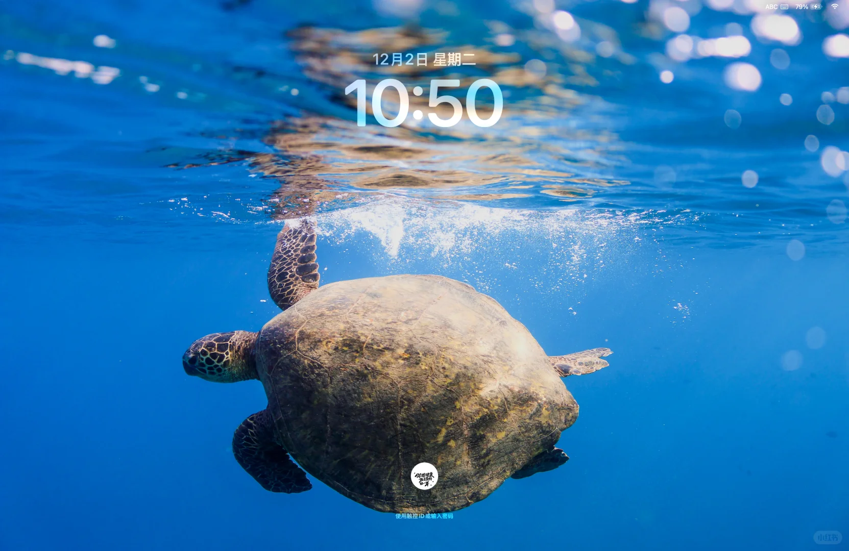 MacBook Pro看看你们的电脑壁纸💻