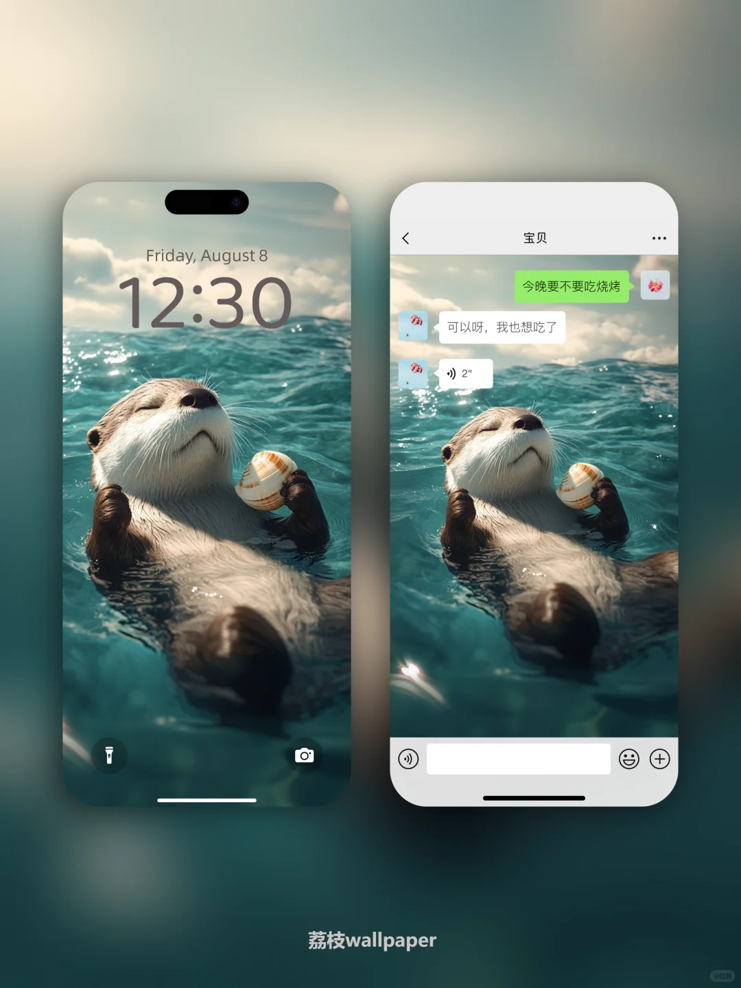 040｜简约高清壁纸｜慵懒海獭