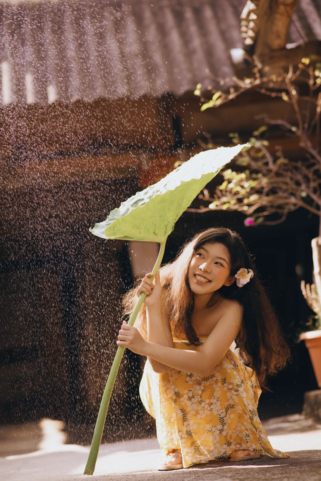 谁懂啊，在版纳拍到了超绝活人感写真