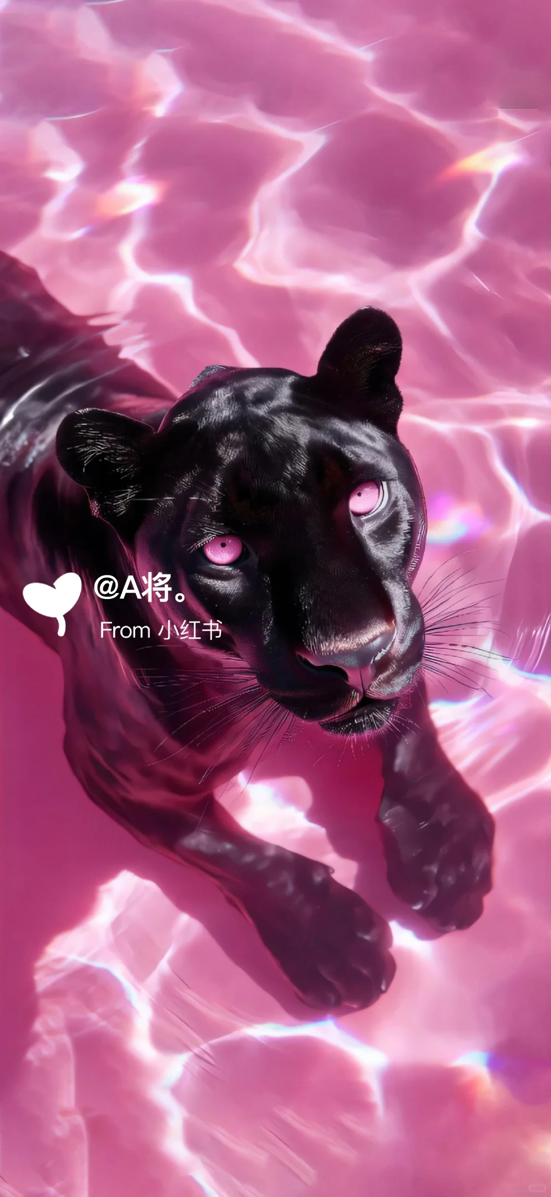 一起豹发高能量壁纸