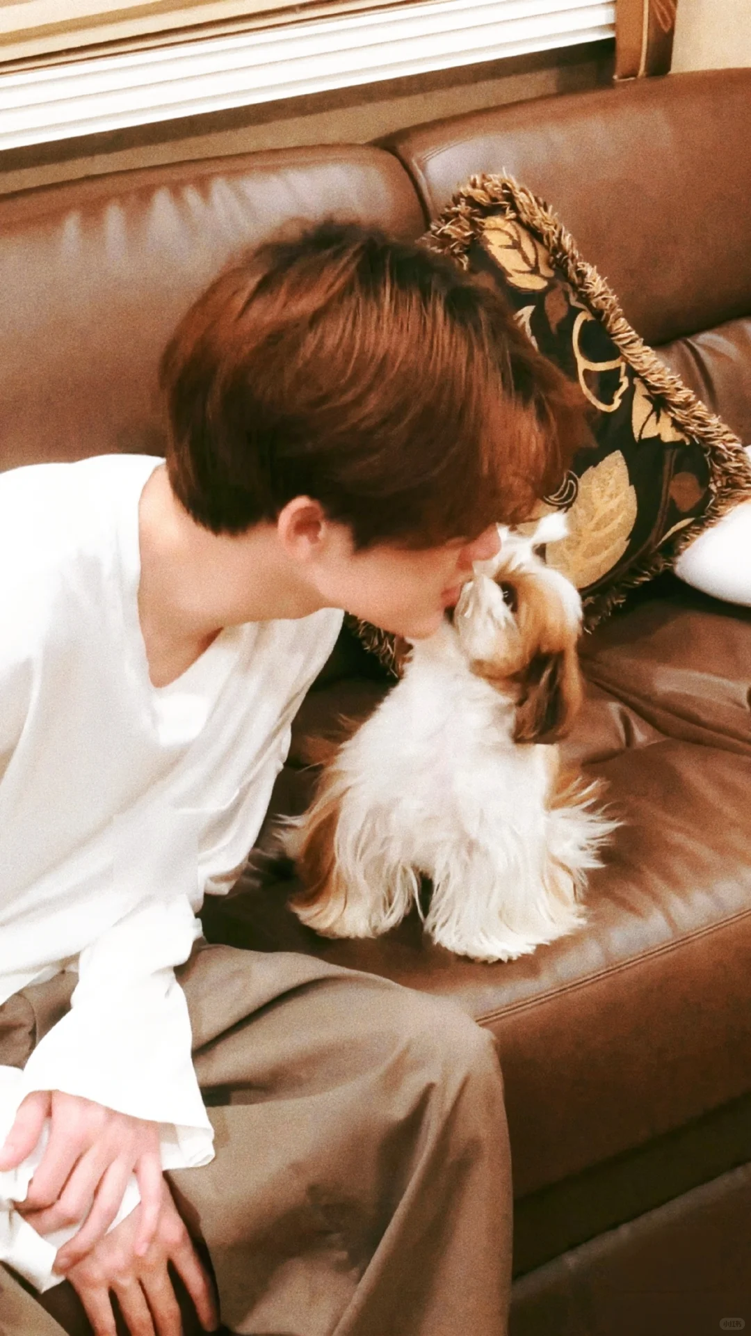 手机又可以换新的壁纸啦！