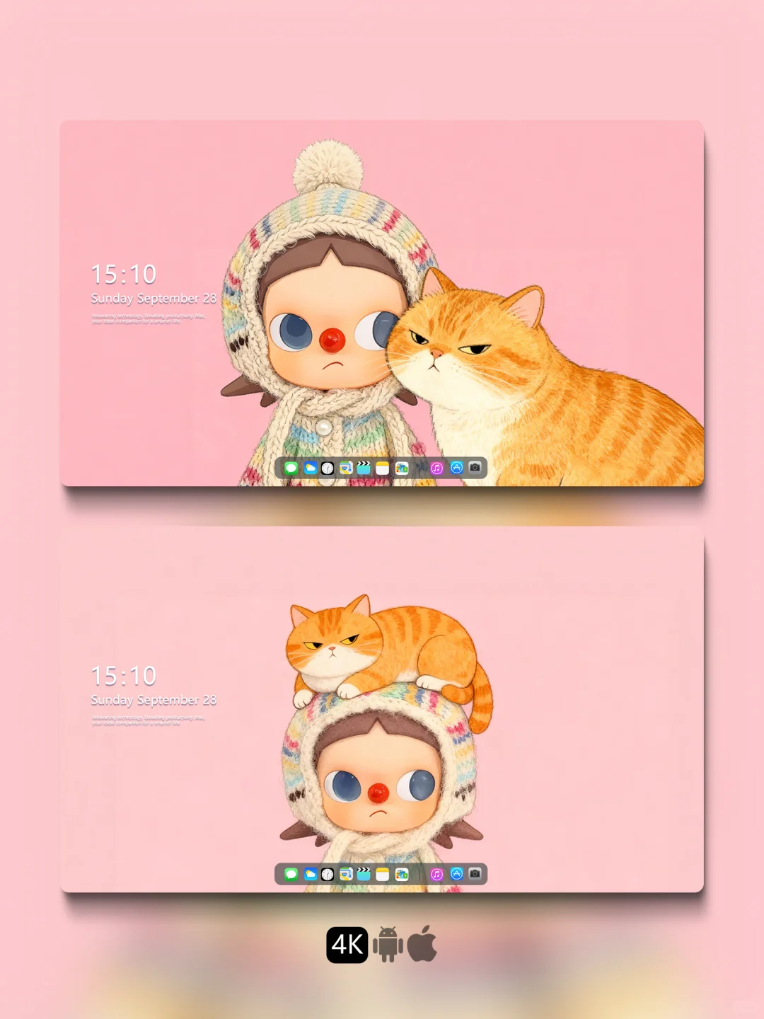 231🐱可爱壁纸■胖橘🍊嘎子