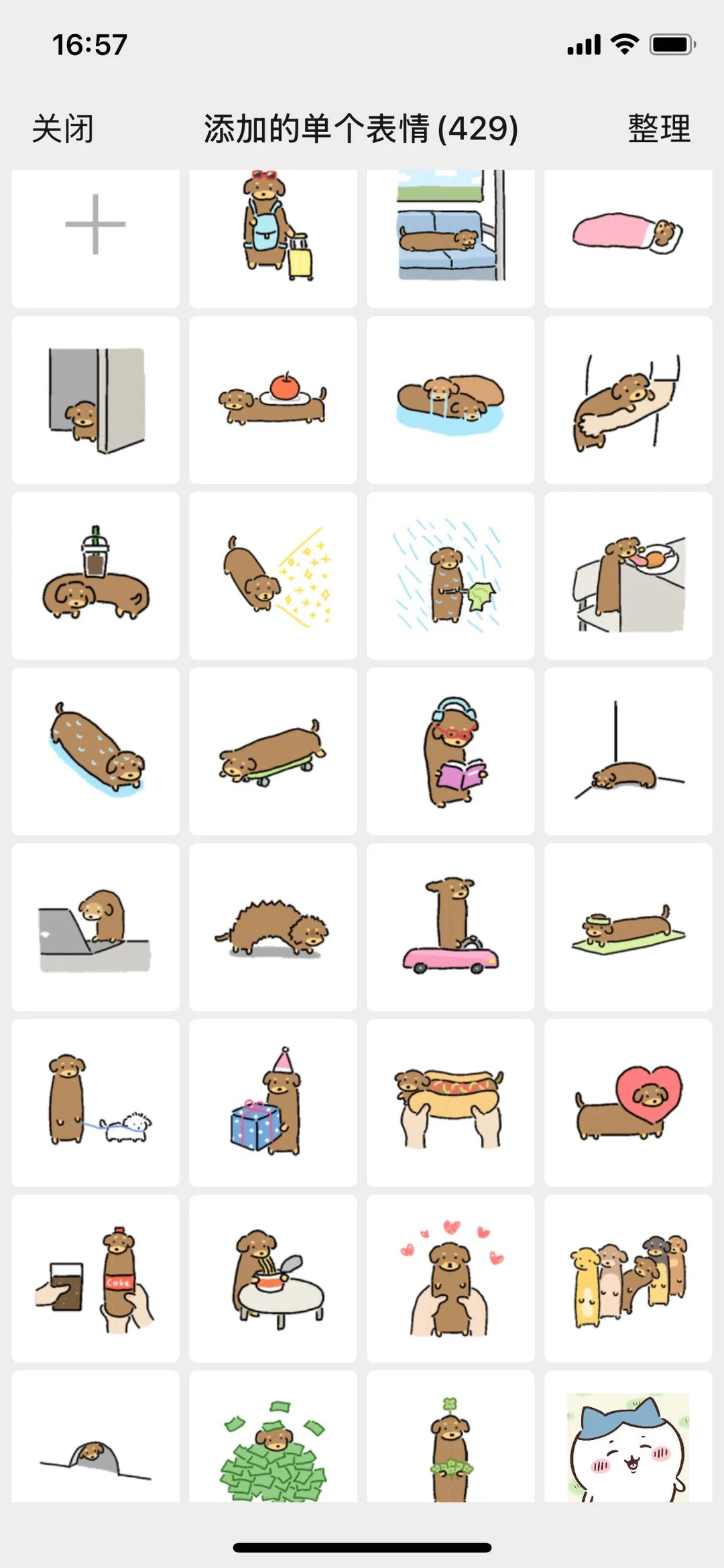 我的新表情包太可爱了吧！！！