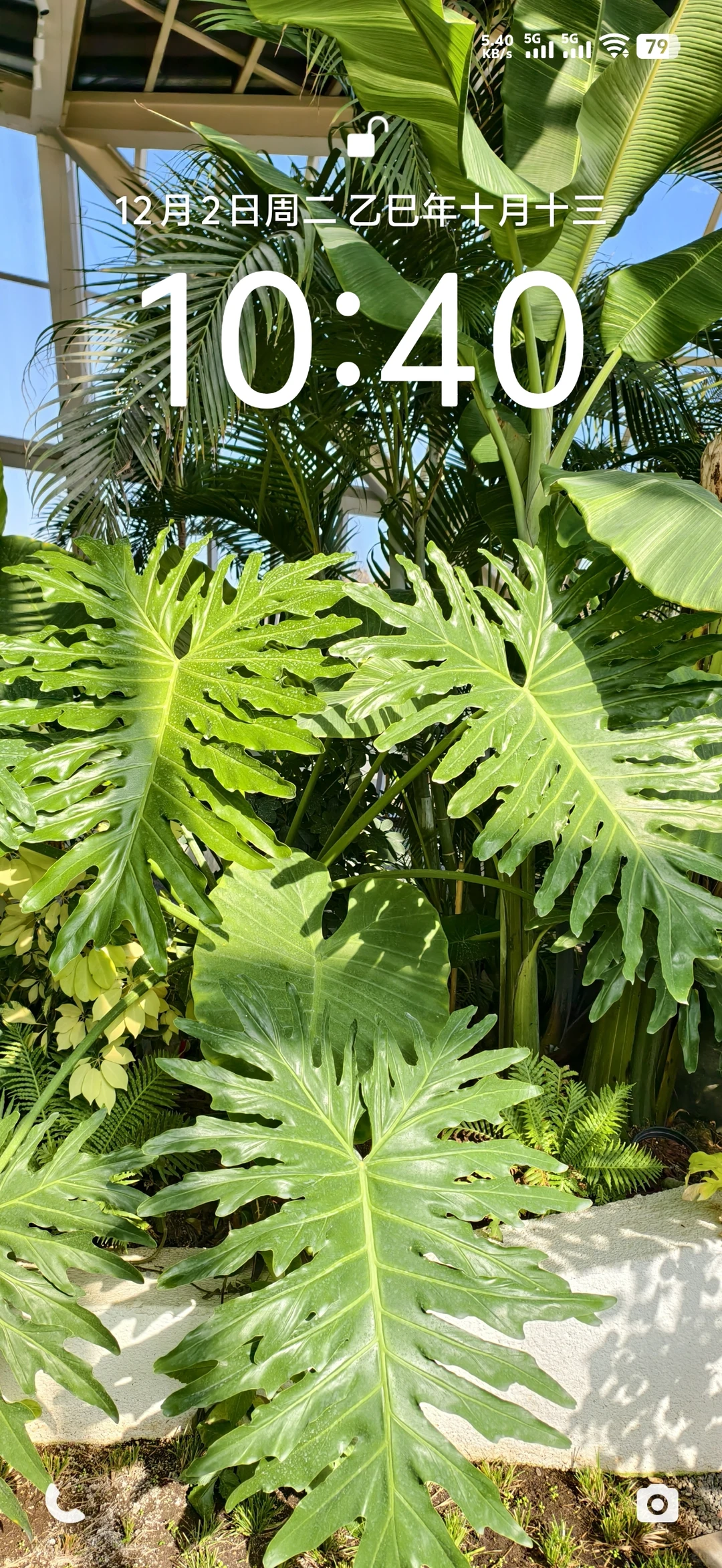 谁懂啊，好喜欢我的壁纸啊！