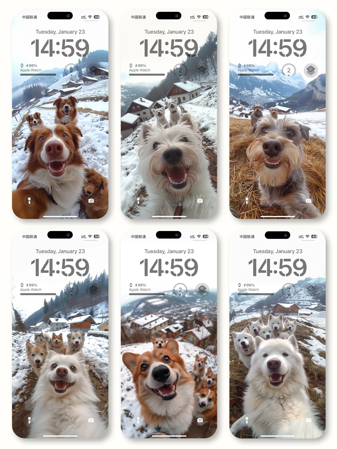 狗狗自拍视角 | iOS 高清壁纸