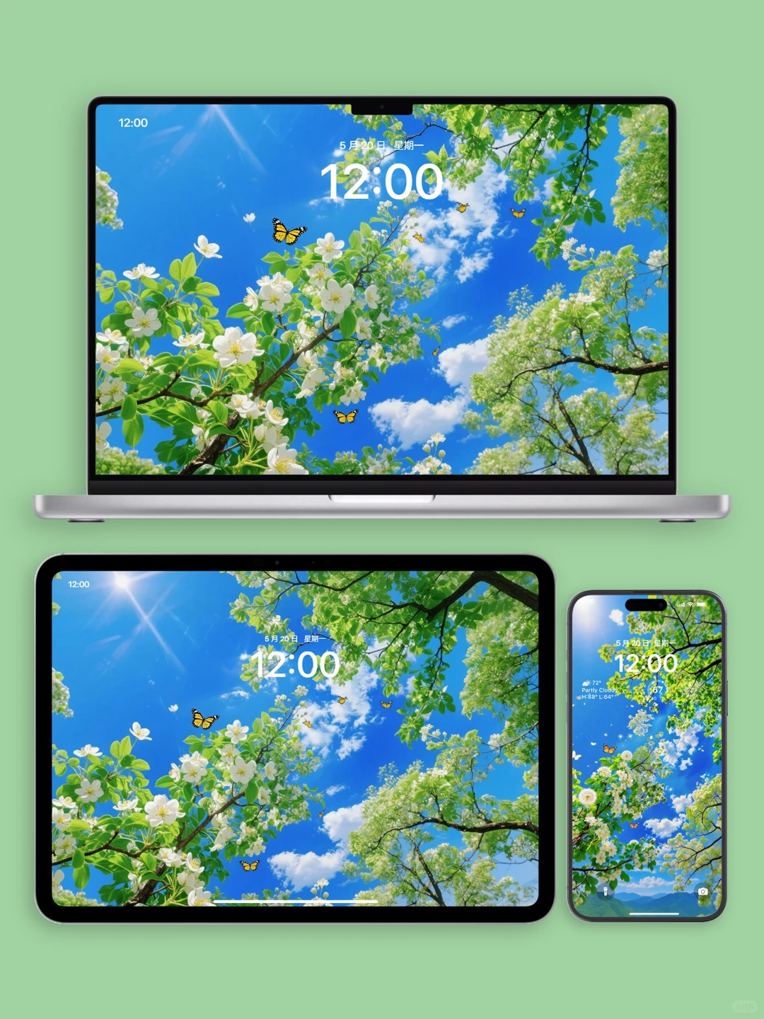 G0039壁纸｜“蓝天树木”治愈系壁纸，太治愈了