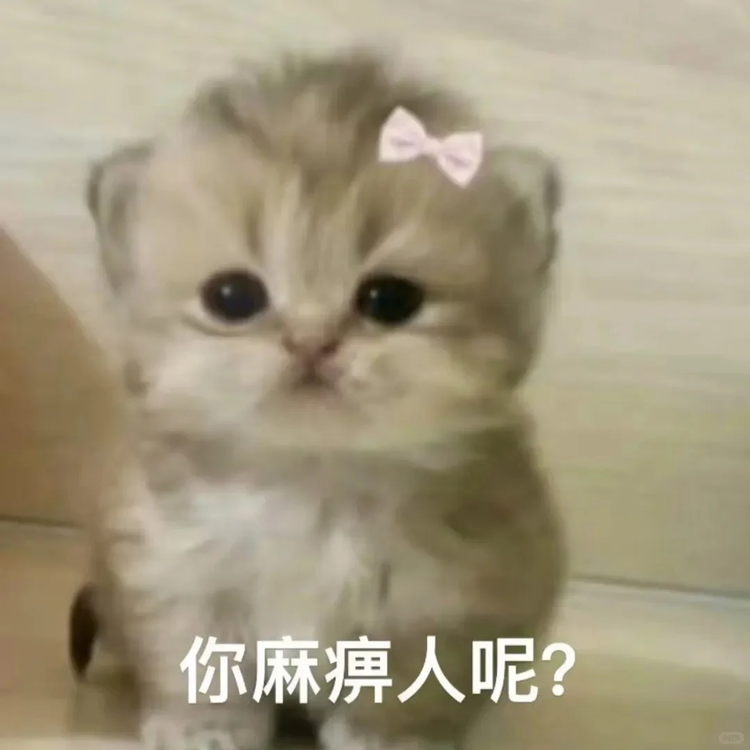 我是不会放弃收集这种表情包的！