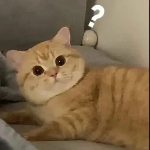 我是不会放弃收集这种表情包的！