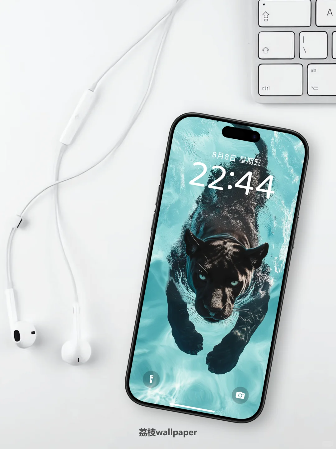 044｜简约高清壁纸｜游水豹