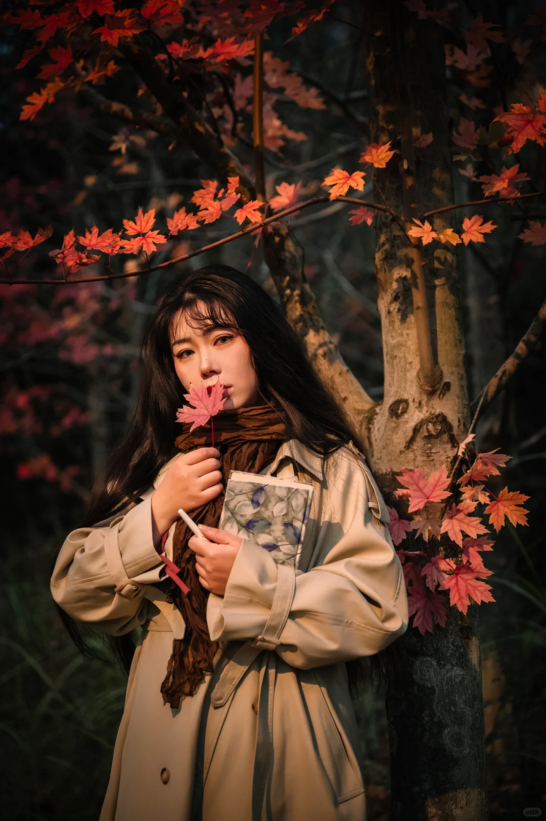 不去人挤人，在一棵枫树旁拍了一组写真