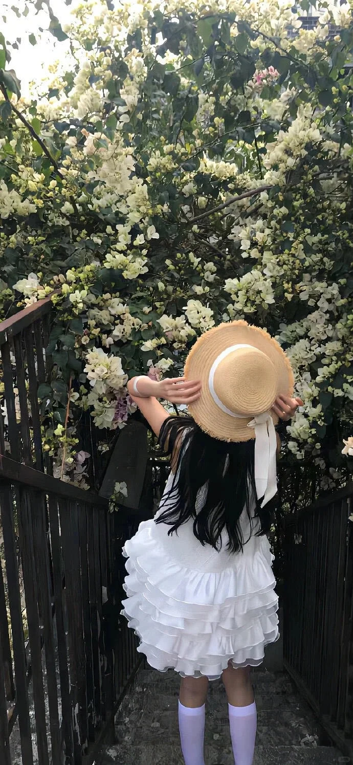 壁纸｜高级感爆棚的手机壁纸