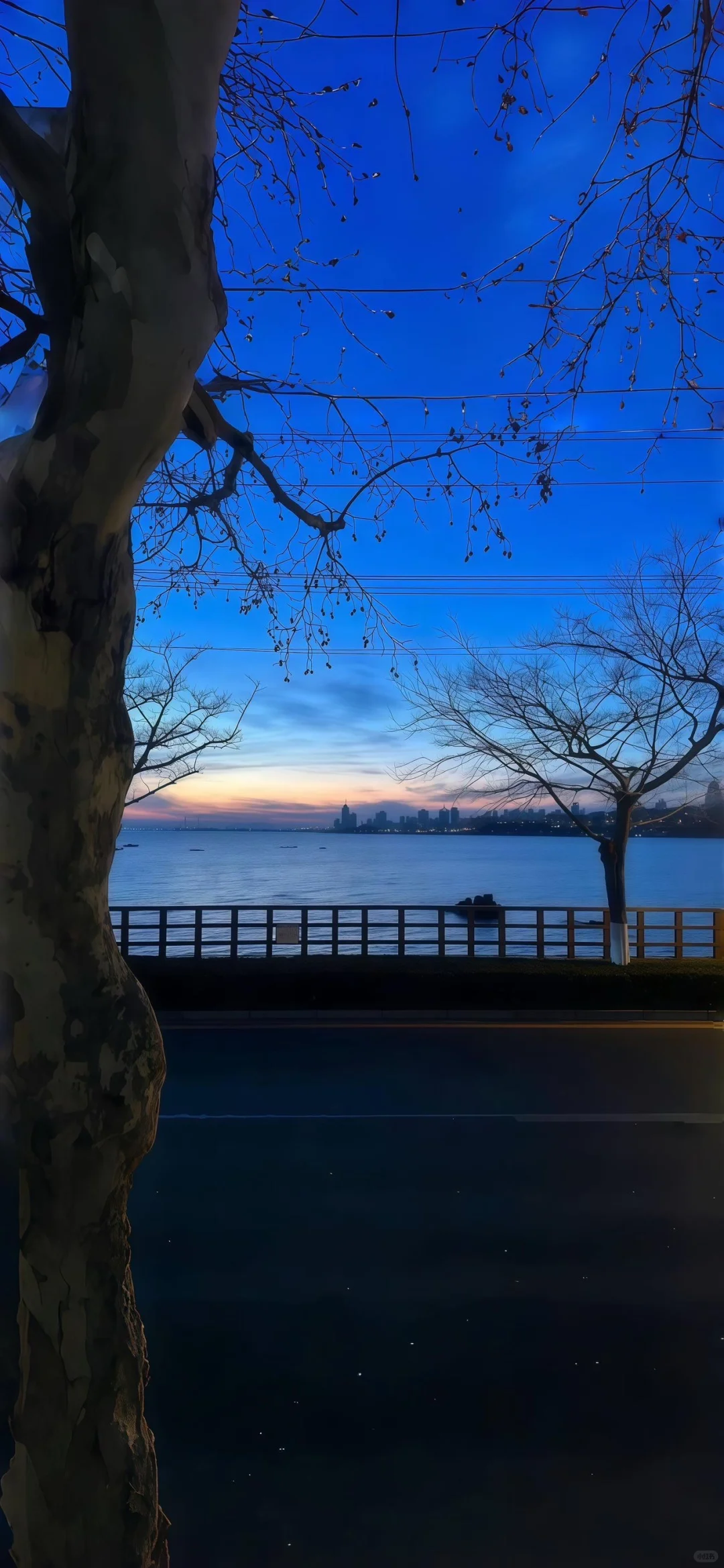 𝑺𝒉𝒂𝒓𝒆｜超治愈蓝调壁纸•͈ᴗ⁃͈💙 ˊ˗