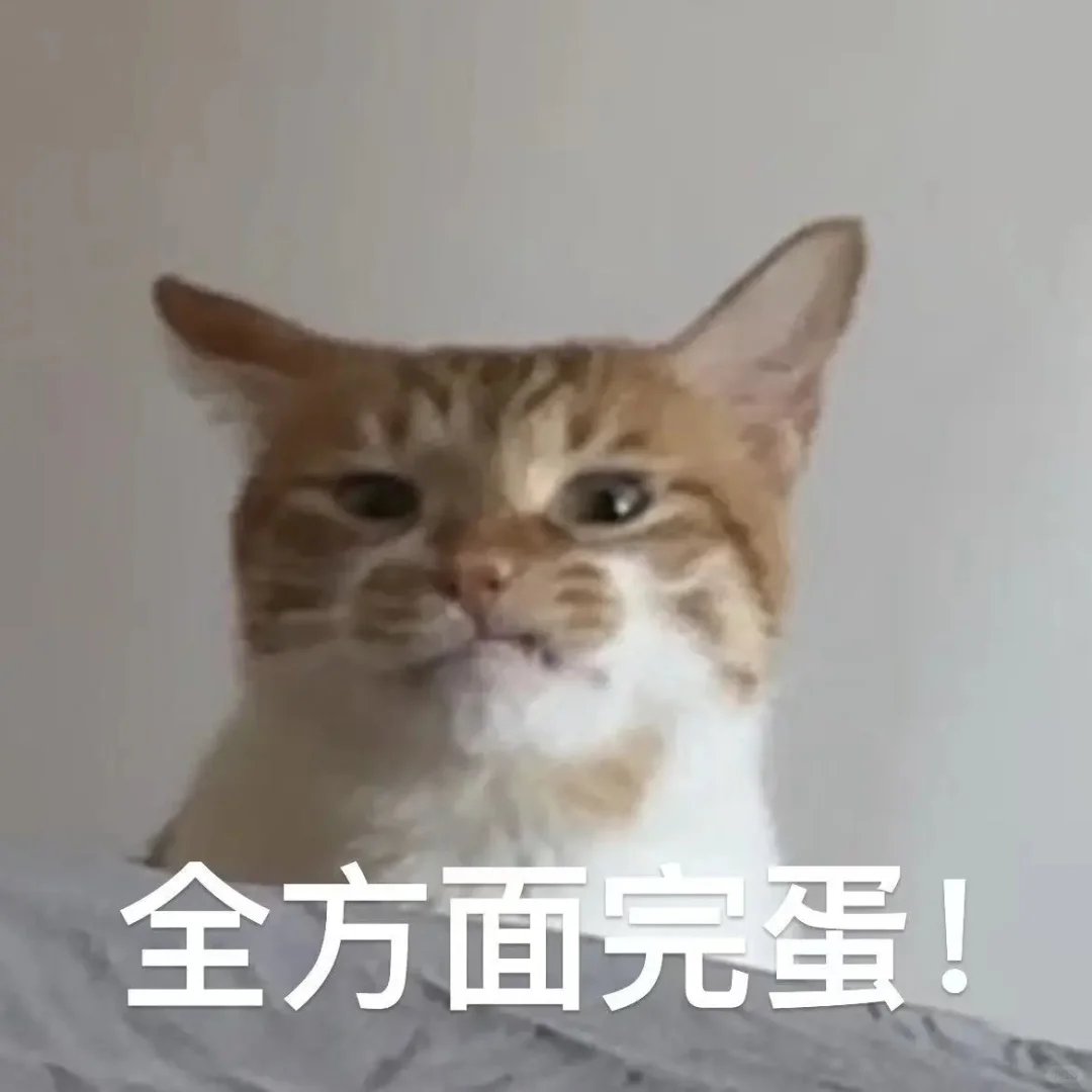全方面完蛋！！！