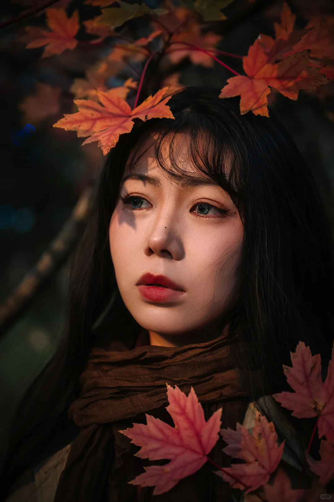 不去人挤人，在一棵枫树旁拍了一组写真