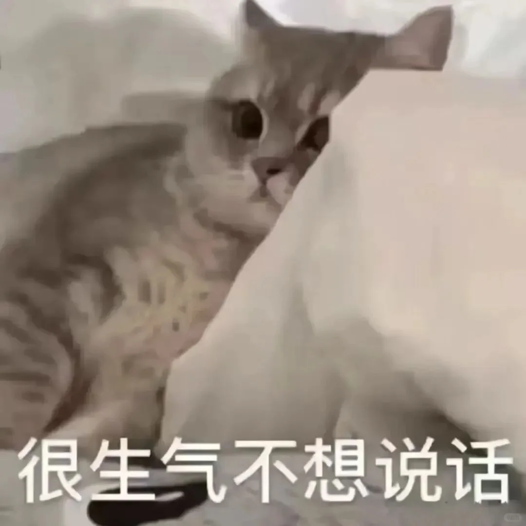 全方面完蛋！！！