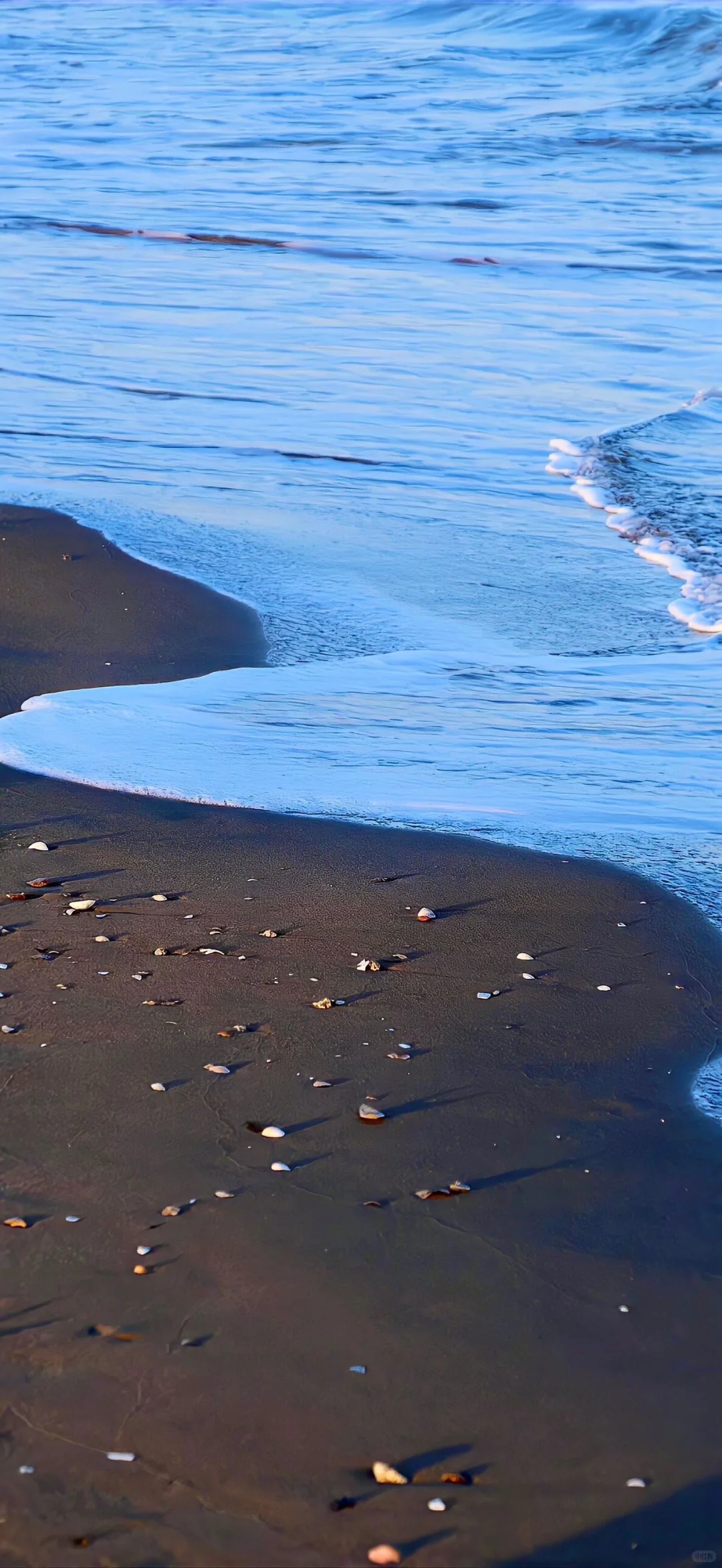 𝑺𝒉𝒂𝒓𝒆｜超治愈蓝调壁纸•͈ᴗ⁃͈💙 ˊ˗